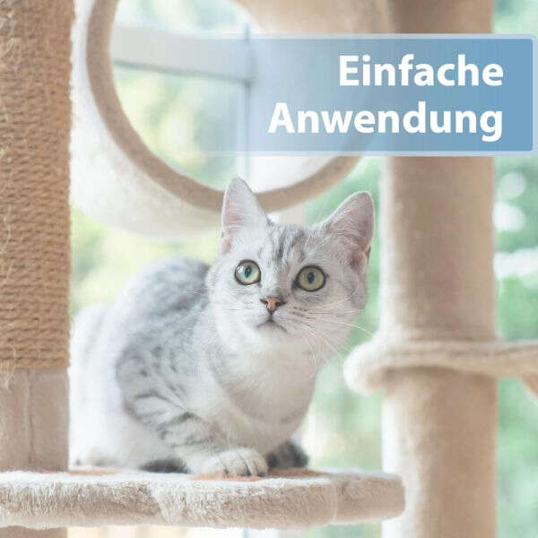 Felisept Katzenohrpflege-Pads